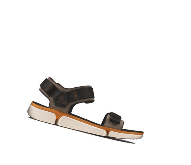 Sandales Casual Clarks Tri Cove Trail Cuir Homme Vert Olive | IXLW19850